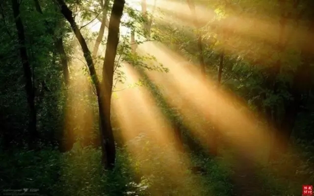 余秋雨2.webp.jpg