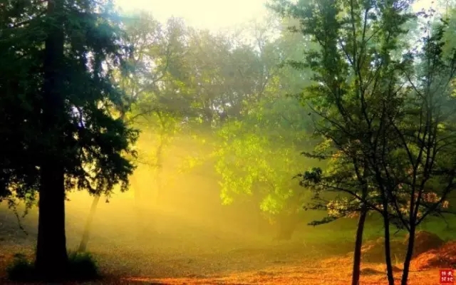 余秋雨3.webp.jpg