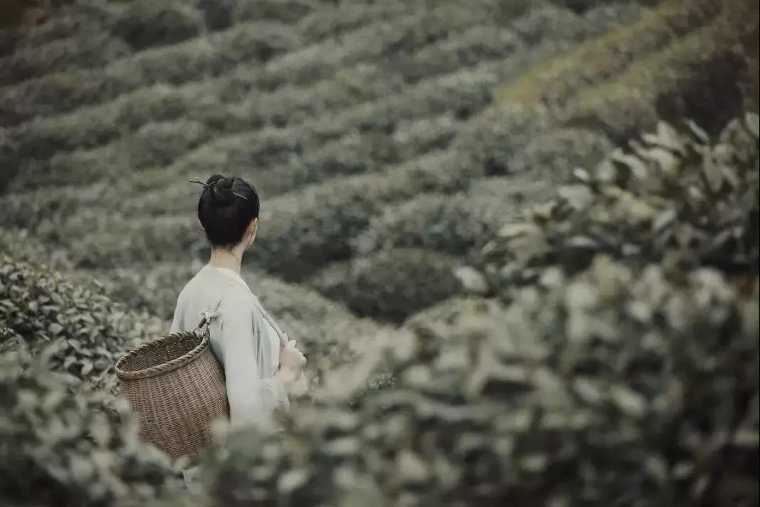 1582359211454795.jpg 20.jpg