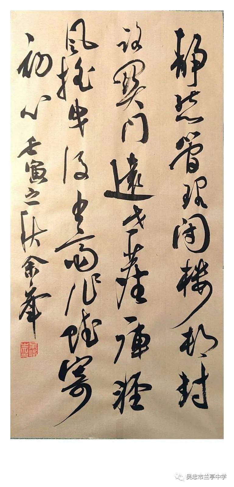 1671269536459191.jpg